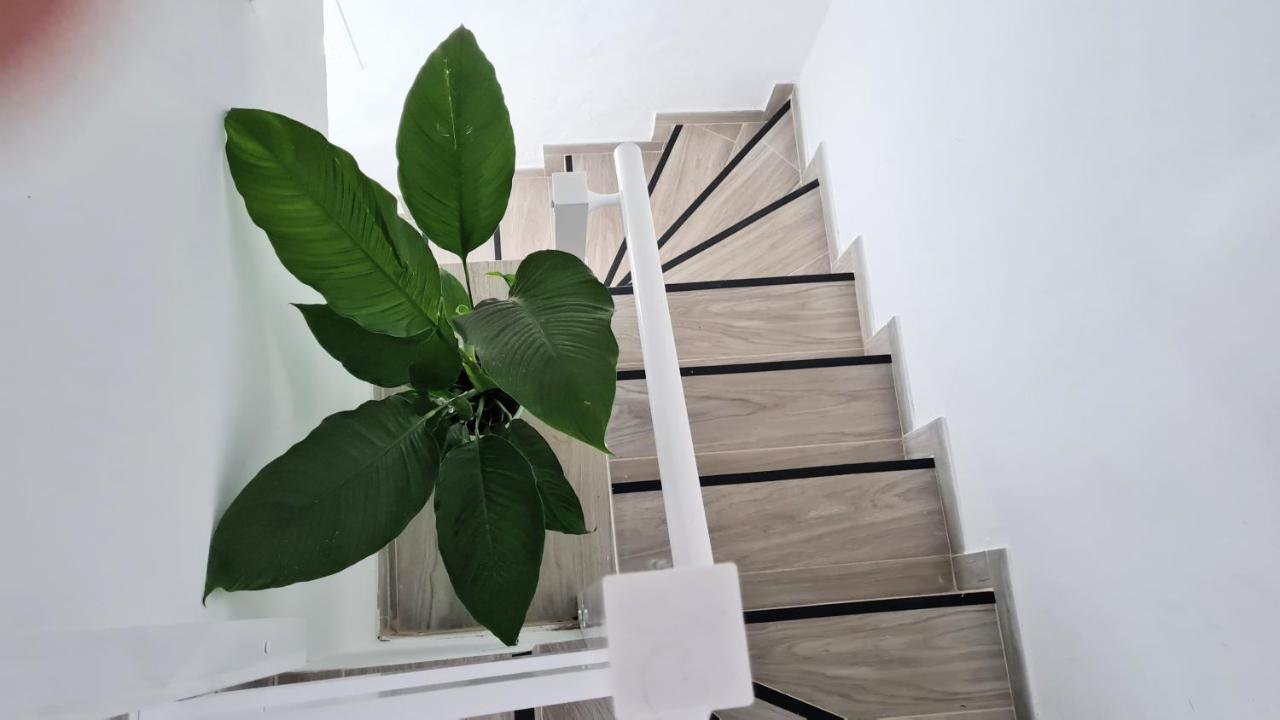 Apartamento Jameo Apartment Punta Mujeres Exterior photo